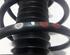 Suspension Strut RENAULT Espace V (JR)