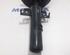 Suspension Strut RENAULT Espace V (JR)