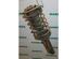 Suspension Strut PEUGEOT 306 Schrägheck (7A, 7C, N3, N5)