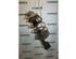 Suspension Strut FIAT Cinquecento (170)