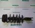 Suspension Strut RENAULT Espace IV (JK0/1)