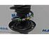 Suspension Strut ALFA ROMEO Mito (955)