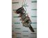 Suspension Strut RENAULT MEGANE II (BM0/1_, CM0/1_)