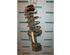 Suspension Strut RENAULT KANGOO (KC0/1_)