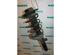 Suspension Strut PEUGEOT 206 Schrägheck (2A/C), PEUGEOT 206 Stufenheck (--)