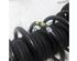 Suspension Strut FIAT Grande Punto (199), FIAT Punto (199), FIAT Punto Evo (199)