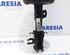 Suspension Strut FIAT Grande Punto (199), FIAT Punto (199), FIAT Punto Evo (199)