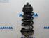 Suspension Strut FIAT Grande Punto (199), FIAT Punto (199), FIAT Punto Evo (199)