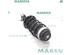 Suspension Strut FIAT Grande Punto (199), FIAT Punto (199), FIAT Punto Evo (199)