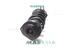 Suspension Strut RENAULT KANGOO Express (FW0/1_)