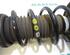 Suspension Strut FIAT Grande Punto (199), FIAT Punto (199), FIAT Punto Evo (199)