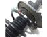 Suspension Strut PEUGEOT 308 I (4A_, 4C_), PEUGEOT 308 SW I (4E_, 4H_)