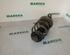 Suspension Strut PEUGEOT 307 CC (3B)