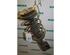 Suspension Strut RENAULT Espace IV (JK0/1)