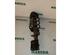 Suspension Strut RENAULT Espace IV (JK0/1)