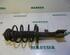 Suspension Strut PEUGEOT 307 (3A/C)