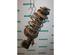 Suspension Strut RENAULT KANGOO Express (FC0/1_)