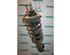 Suspension Strut RENAULT Trafic II Kasten (FL)