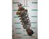 Suspension Strut RENAULT Trafic II Kasten (FL)