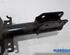 Suspension Strut RENAULT MEGANE III Grandtour (KZ0/1)