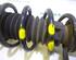 Suspension Strut PEUGEOT 407 SW (6E)