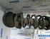 Federbein links vorne Renault Trafic II Kasten FL 8200728279 P3063018