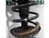 Suspension Strut FIAT Scudo Kasten (270, 272)