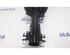 Suspension Strut RENAULT Master III Kasten (FV)