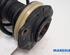 Suspension Strut RENAULT KANGOO Express (FW0/1_)