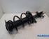 Suspension Strut RENAULT Zoe (BFM)