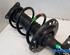 Suspension Strut RENAULT Zoe (BFM)