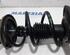 Suspension Strut DACIA DOKKER MPV (KE_), DACIA LOGAN MCV (KS_), DACIA LOGAN MCV II