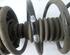 Suspension Strut RENAULT MEGANE II Estate (KM0/1_)