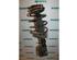 Suspension Strut RENAULT ESPACE IV (JK0/1_)