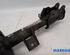 Suspension Strut FIAT PANDA (312_, 319_), LANCIA YPSILON (312_), FIAT PANDA VAN (312_, 519_)