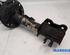 Suspension Strut FIAT PANDA (312_, 319_), LANCIA YPSILON (312_), FIAT PANDA VAN (312_, 519_)