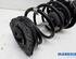 Suspension Strut RENAULT MEGANE III Hatchback (BZ0/1_, B3_)