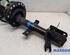 Suspension Strut RENAULT CAPTUR I (J5_, H5_), RENAULT CLIO IV (BH_)