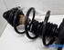 Suspension Strut RENAULT CLIO IV Grandtour (KH_)