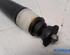 Shock Absorber RENAULT ZOE Hatchback Van (BFM_), RENAULT ZOE (BFM_)