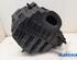 Air Filter Housing Box RENAULT SCÉNIC III (JZ0/1_)