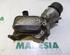 Oil Filter Housing Box FIAT DOBLO MPV (263_), FIAT PUNTO (199_), FIAT FIORINO Box Body/MPV (225_), FIAT QUBO (225_)