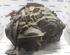 Automatic Transmission RENAULT VEL SATIS (BJ0_)