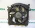 Interior Blower Motor RENAULT Clio III (BR0/1, CR0/1)