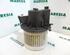 Interior Blower Motor FIAT PANDA (169_), FIAT 500 (312_), FIAT 500 C (312_), FORD KA (RU8)