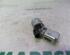 Ignition Lock Cylinder PEUGEOT 5008 (0E, 0U)