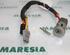 Ignition Lock Cylinder RENAULT Kangoo Express (FC0/1)