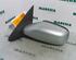 Wing (Door) Mirror RENAULT Laguna II (BG0/1)