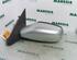 Wing (Door) Mirror RENAULT Laguna II (BG0/1)