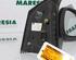 Wing (Door) Mirror RENAULT SCÉNIC I MPV (JA0/1_, FA0_), RENAULT MEGANE Scenic (JA0/1_)